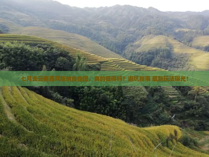 七月去云南西双版纳自由团