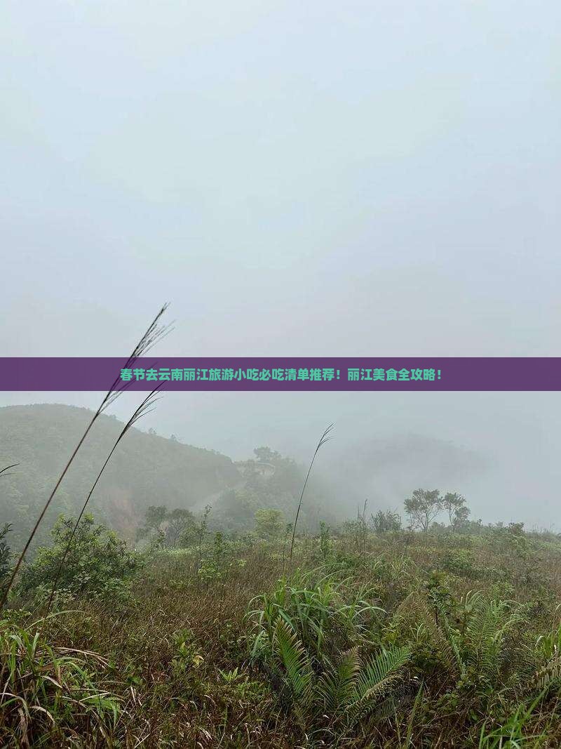 春节去云南丽江旅游小吃