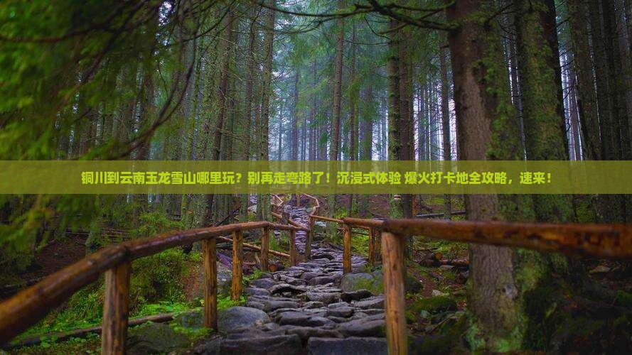 铜川到云南玉龙雪山哪里玩