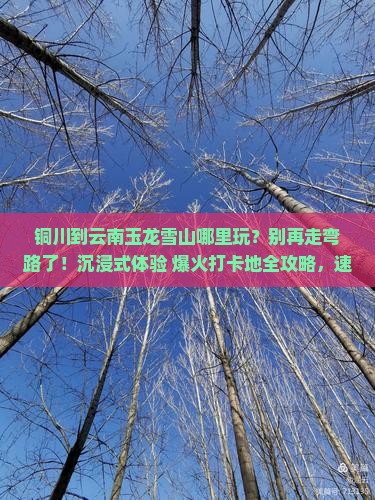 铜川到云南玉龙雪山哪里玩