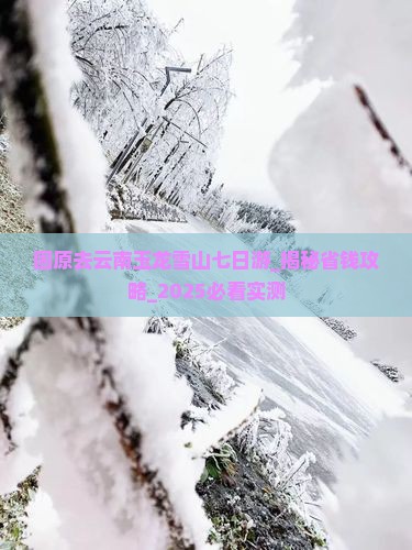 固原去云南玉龙雪山七日游