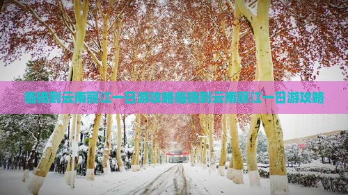临猗到云南丽江一日