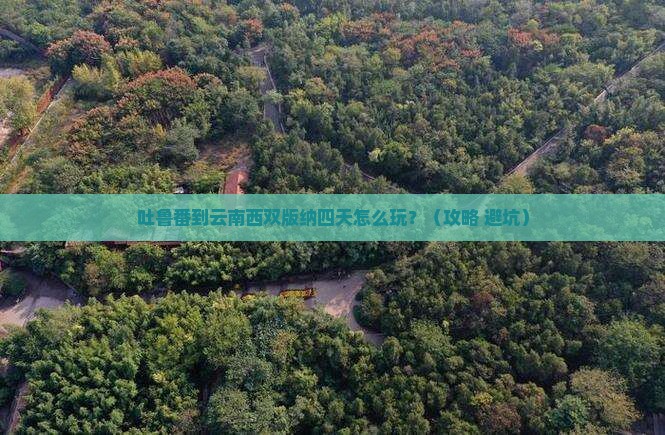 吐鲁番到云南西双版纳四日游