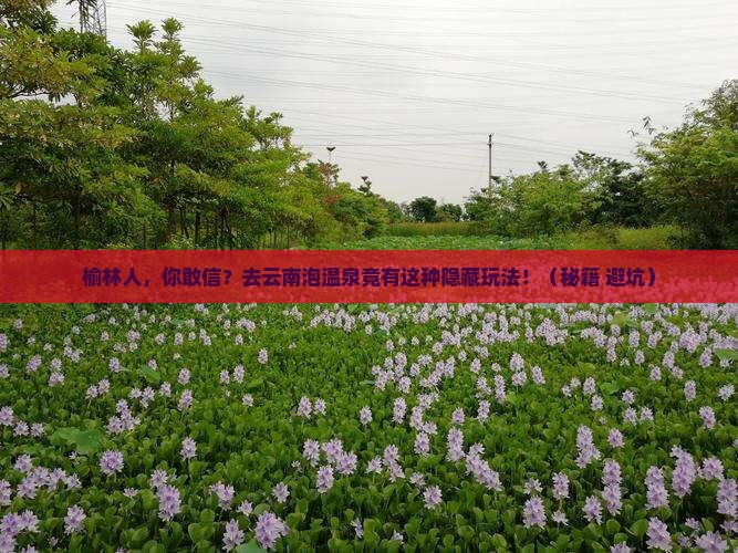 榆林到云南温泉旅行社