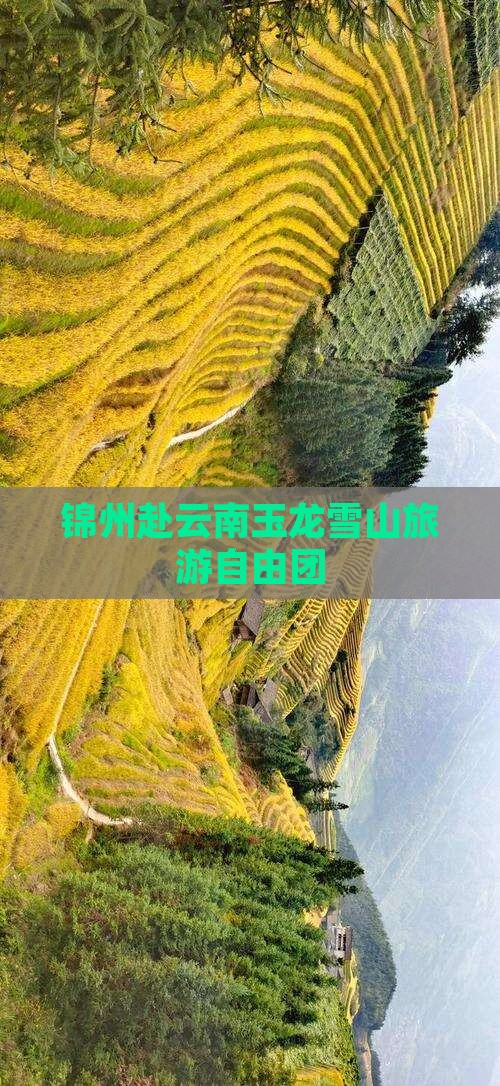 锦州去云南玉龙雪山自由团