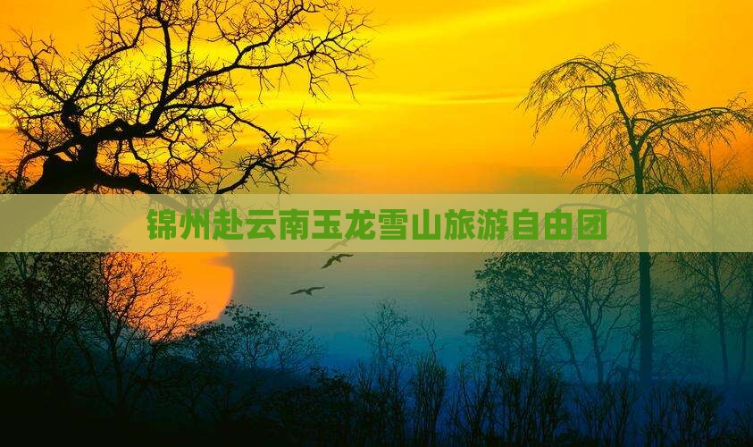 锦州去云南玉龙雪山自由团