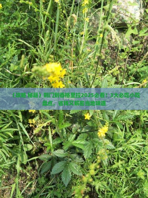 荆门到云南香格里拉旅游小吃
