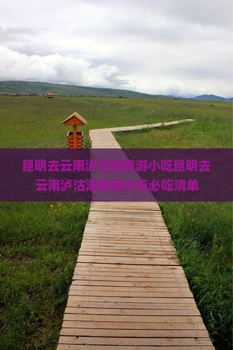 昆明去云南泸沽湖旅游小吃
