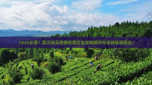 武汉去云南香格里拉攻略