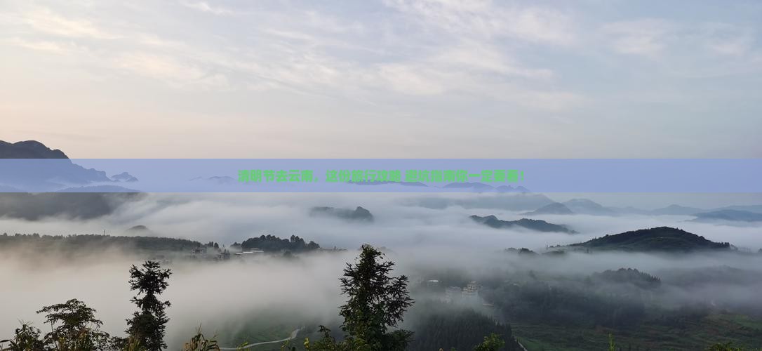 清明节到云南旅行社