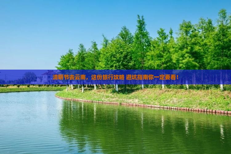 清明节到云南旅行社