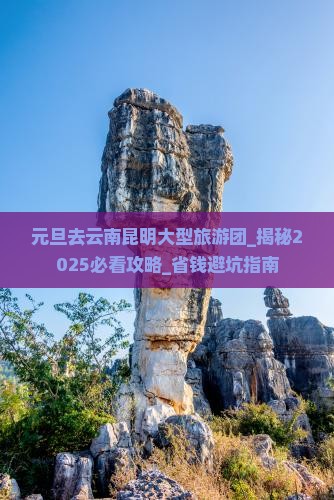 元旦去云南昆明大型旅游团