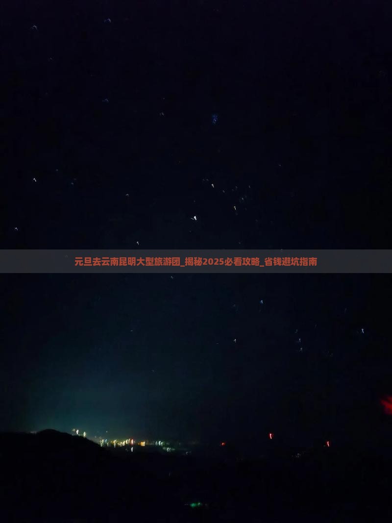 元旦去云南昆明大型旅游团