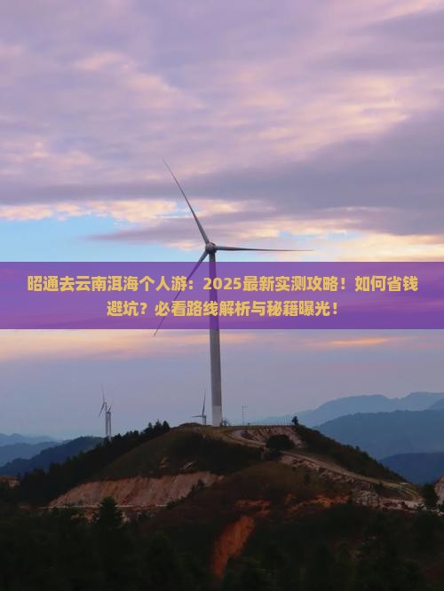 昭通去云南洱海个人游