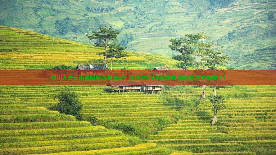 铜川去云南昆明团体旅游