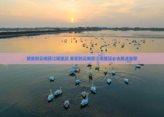 莱芜到云南丽江哪里玩
