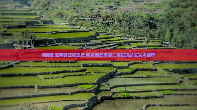 莱芜到云南丽江哪里玩