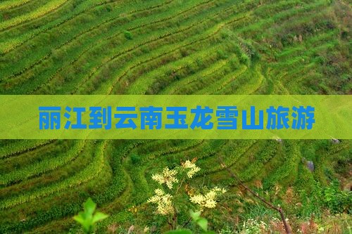 丽江到云南玉龙雪山旅游