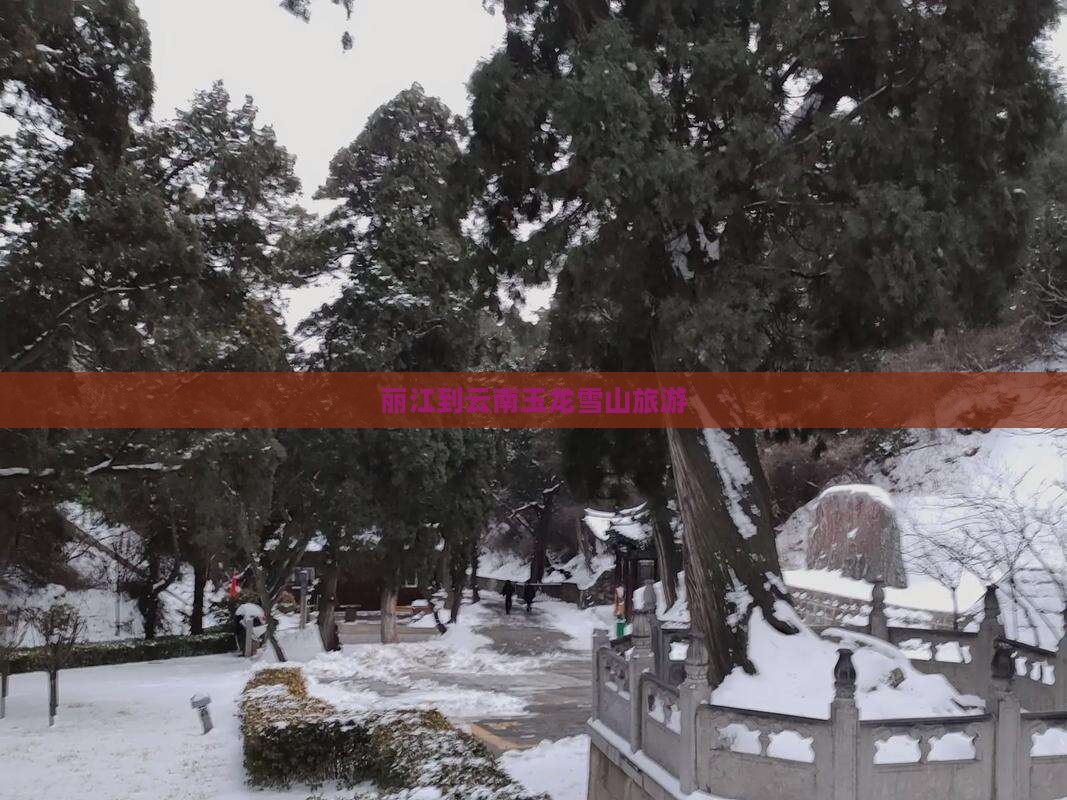 丽江到云南玉龙雪山旅游
