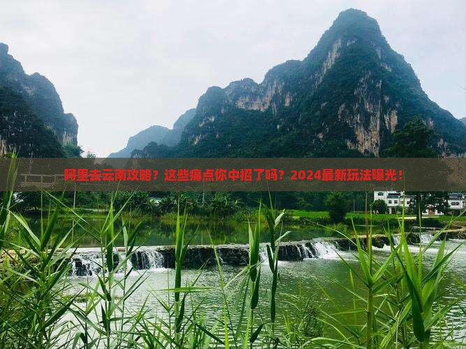 阿里去云南攻略