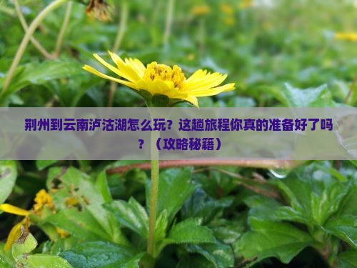 荆州到云南泸沽湖哪里玩