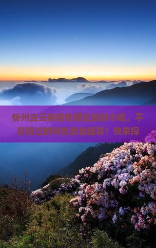 忻州去云南香格里拉旅游小吃