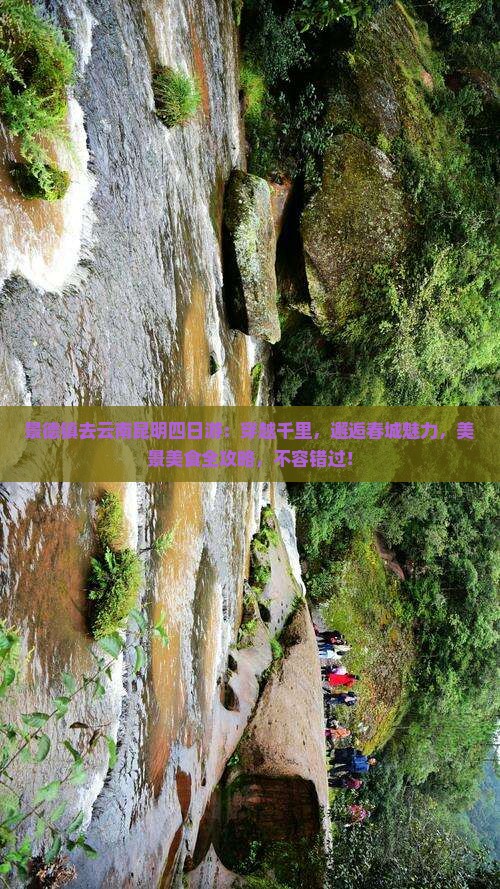 景德镇去云南昆明四日游