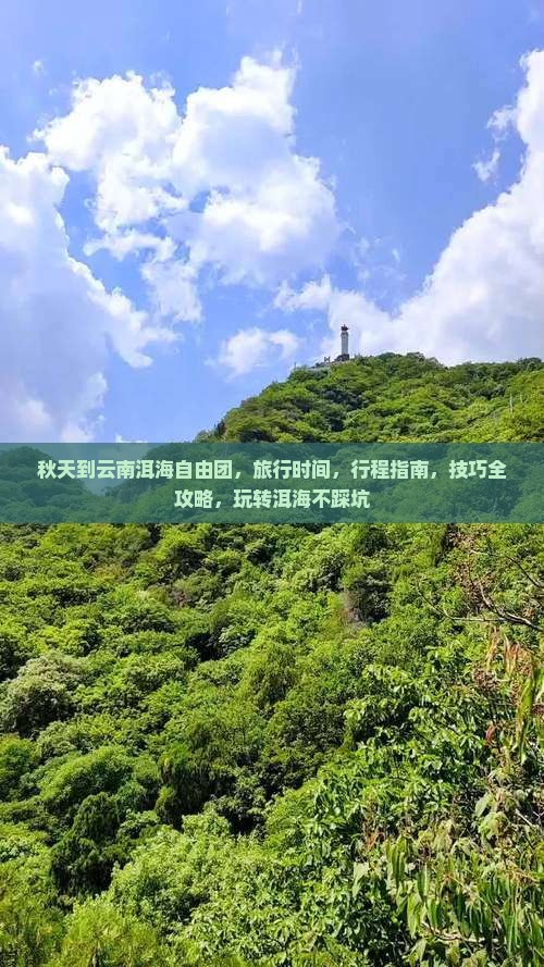 秋天到云南洱海自由团