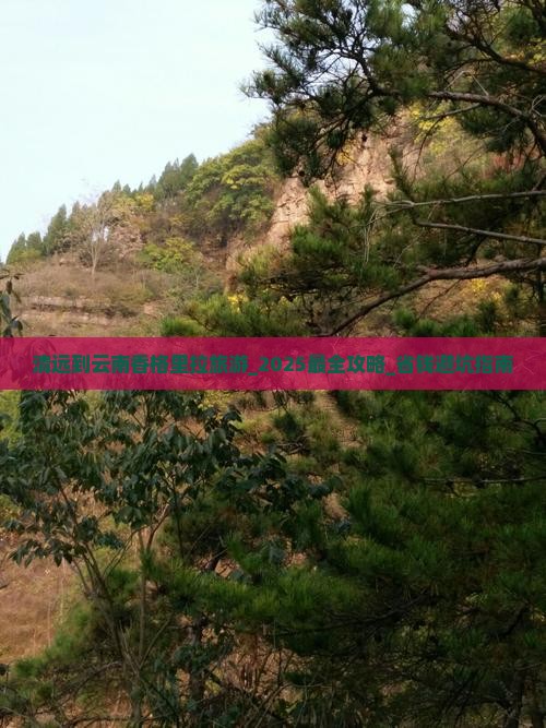 清远到云南香格里拉旅游