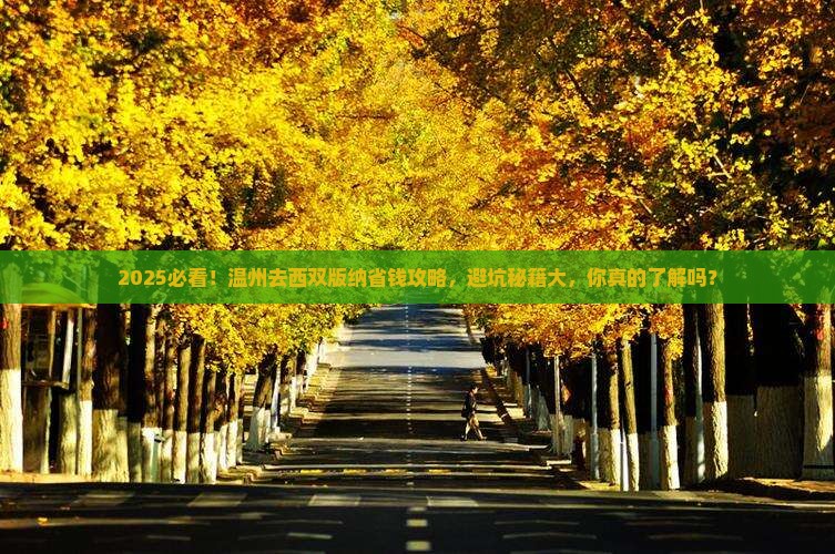 温州去云南西双版纳攻略