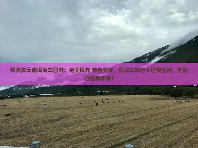 钦州去云南洱海三日游