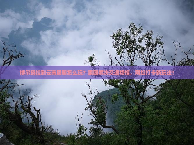 博尔塔拉到云南昆明团体旅游