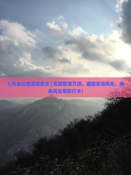 七月去云南洱海景点