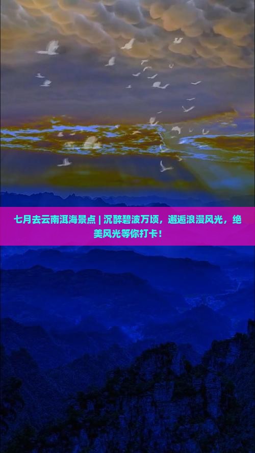 七月去云南洱海景点