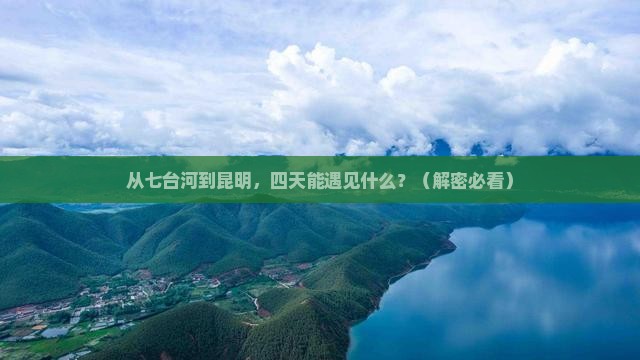 七台河去云南昆明四日游
