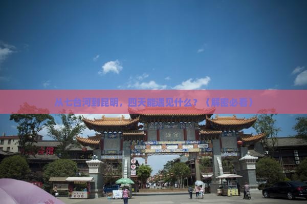七台河去云南昆明四日游