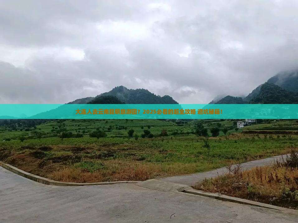 大连去云南昆明大型旅游团