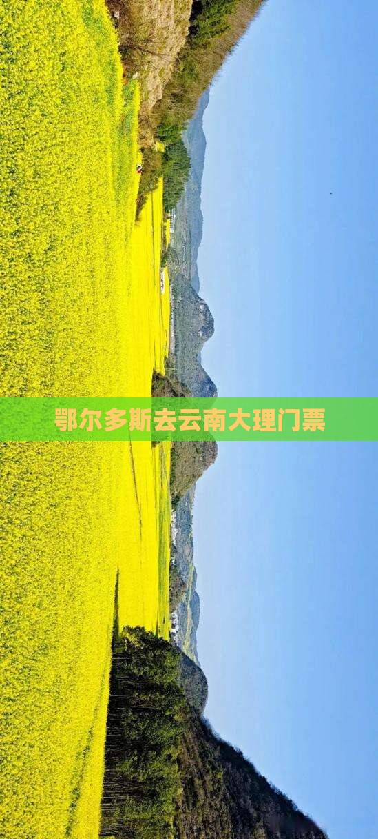 鄂尔多斯去云南大理门票