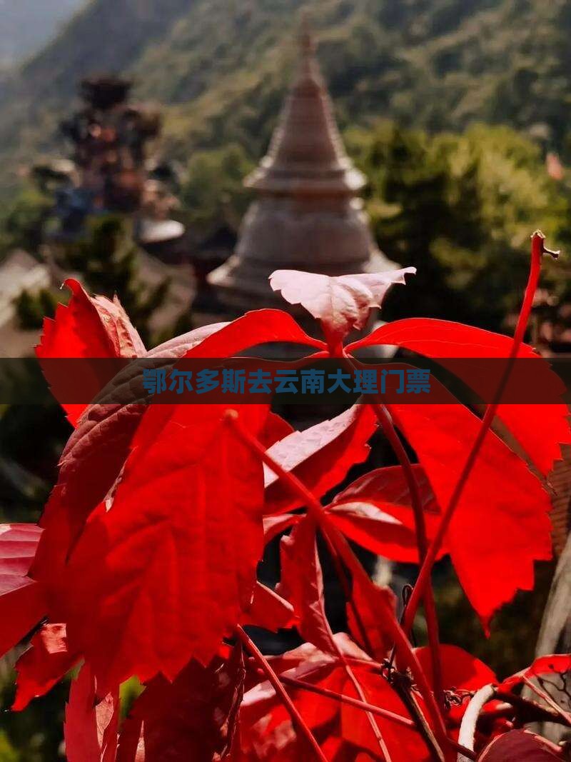 鄂尔多斯去云南大理门票