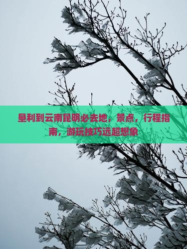 垦利到云南昆明必去地
