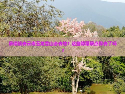 景德镇去云南玉龙雪山必去地