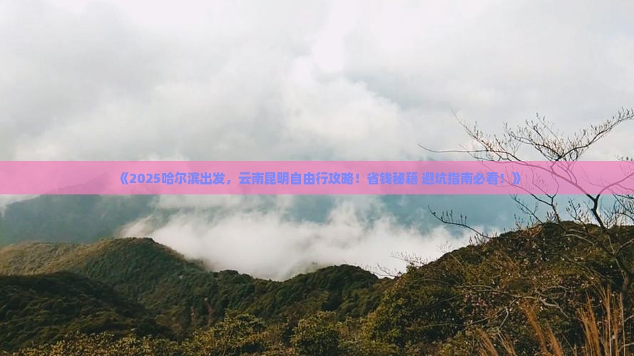 哈尔滨去云南昆明自由行