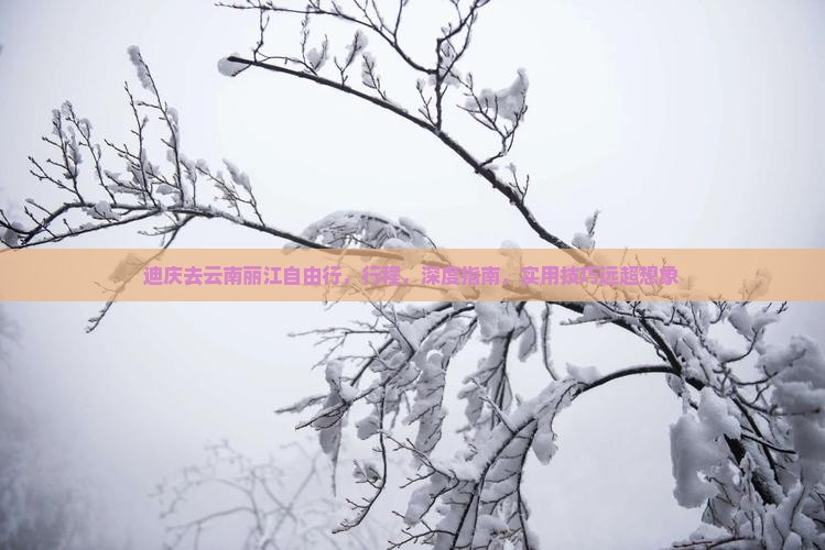 迪庆去云南丽江自由行