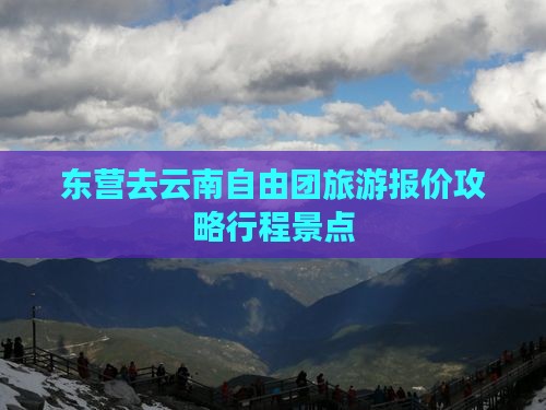 东营去云南自由团