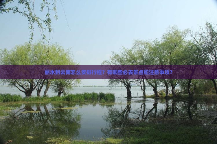 丽水到云南怎么安排行程？有哪些必去景点和注意事项？