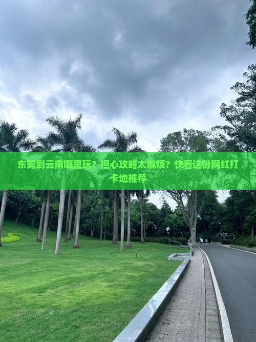 东莞到云南哪里玩？担心攻略太麻烦？快看这份网红打卡地推荐