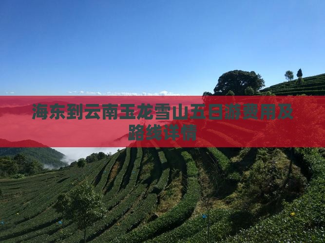 海东到云南玉龙雪山五日游费用及路线详情