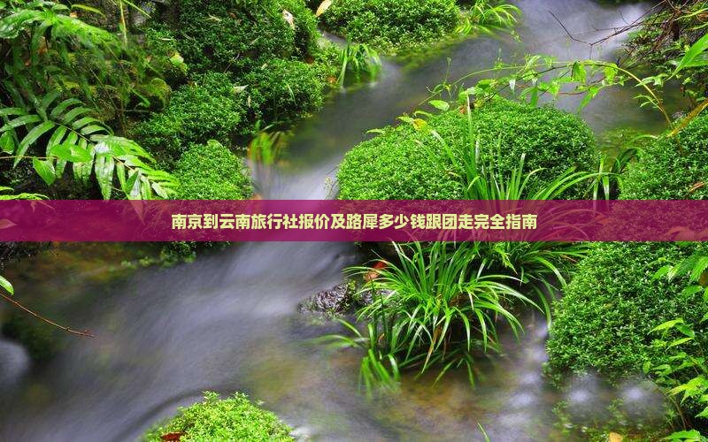 南京到云南旅行社报价及路犀多少钱跟团走完全指南