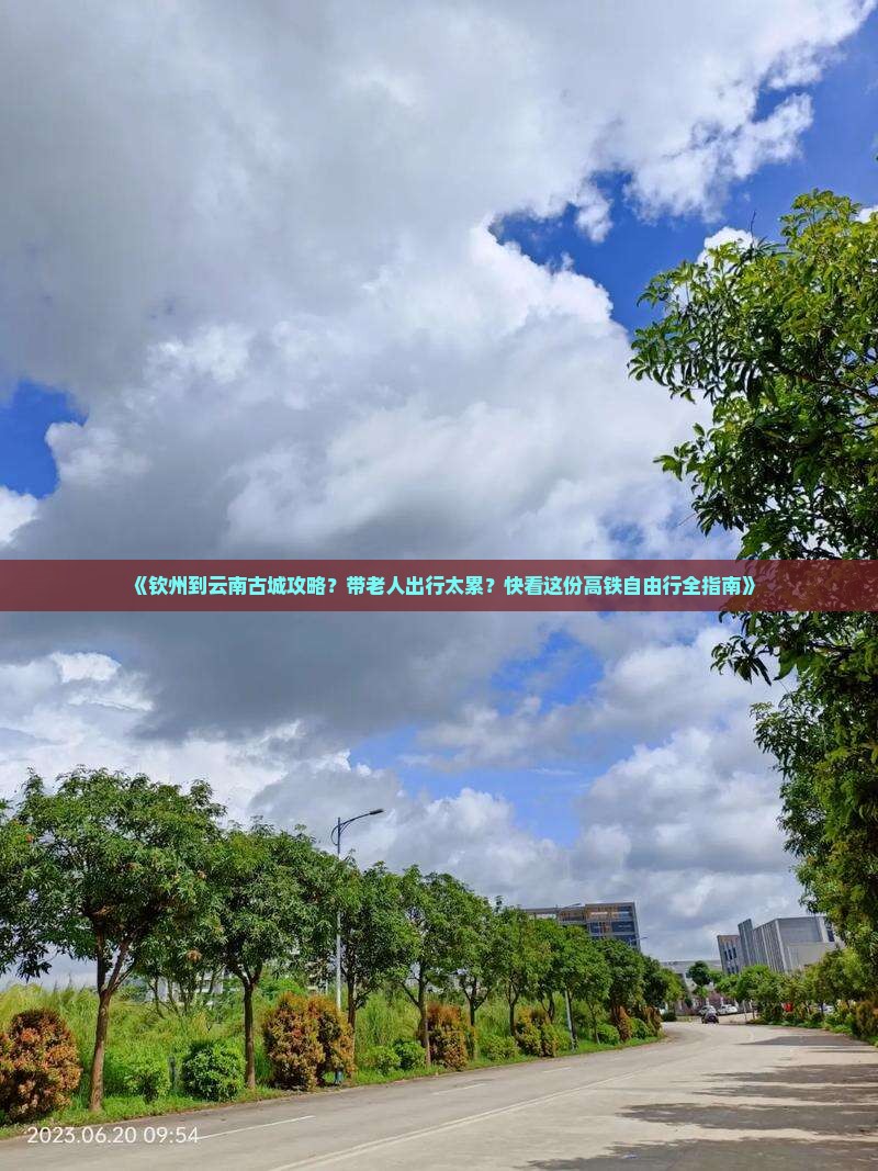 《钦州到云南古城攻略？带老人出行太累？快看这份高铁自由行全指南》