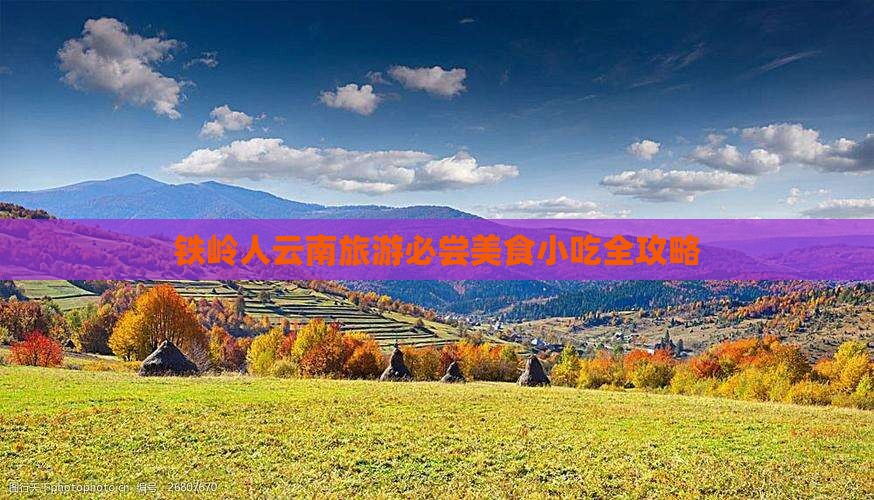 铁岭人云南旅游必尝美食小吃全攻略